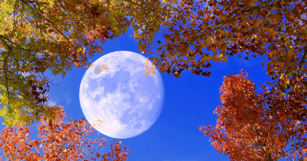 秋空の月